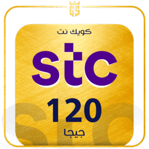 بطاقة كويك نت EVD PP 120 جيجا لمدة شهر